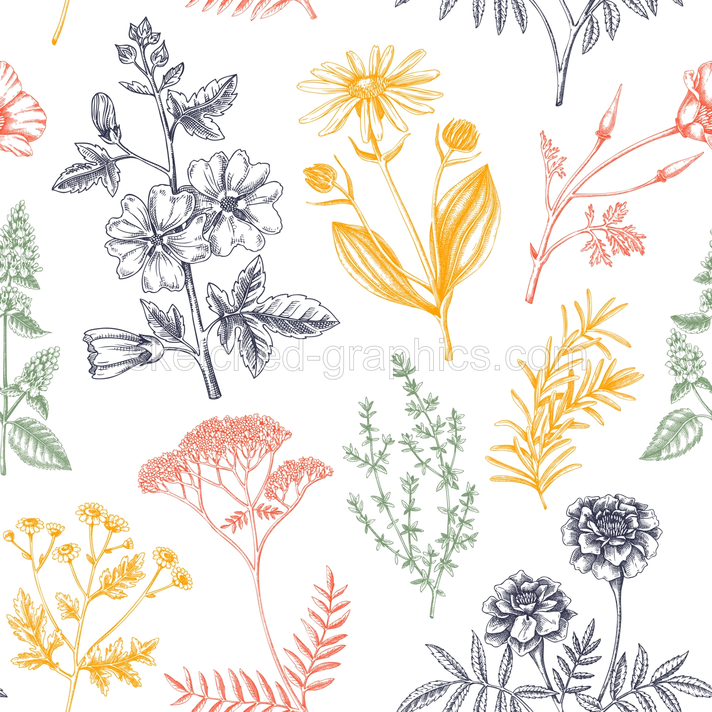 Apothecary plant background. Medicinal herbs seamless pattern. Herbal remedies, natural medicine, Healing plants sketches. Hand-drawn vector illustration.NOT AI genereted Illustration